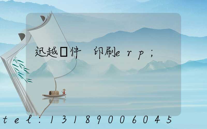 迅越軟件 印刷erp